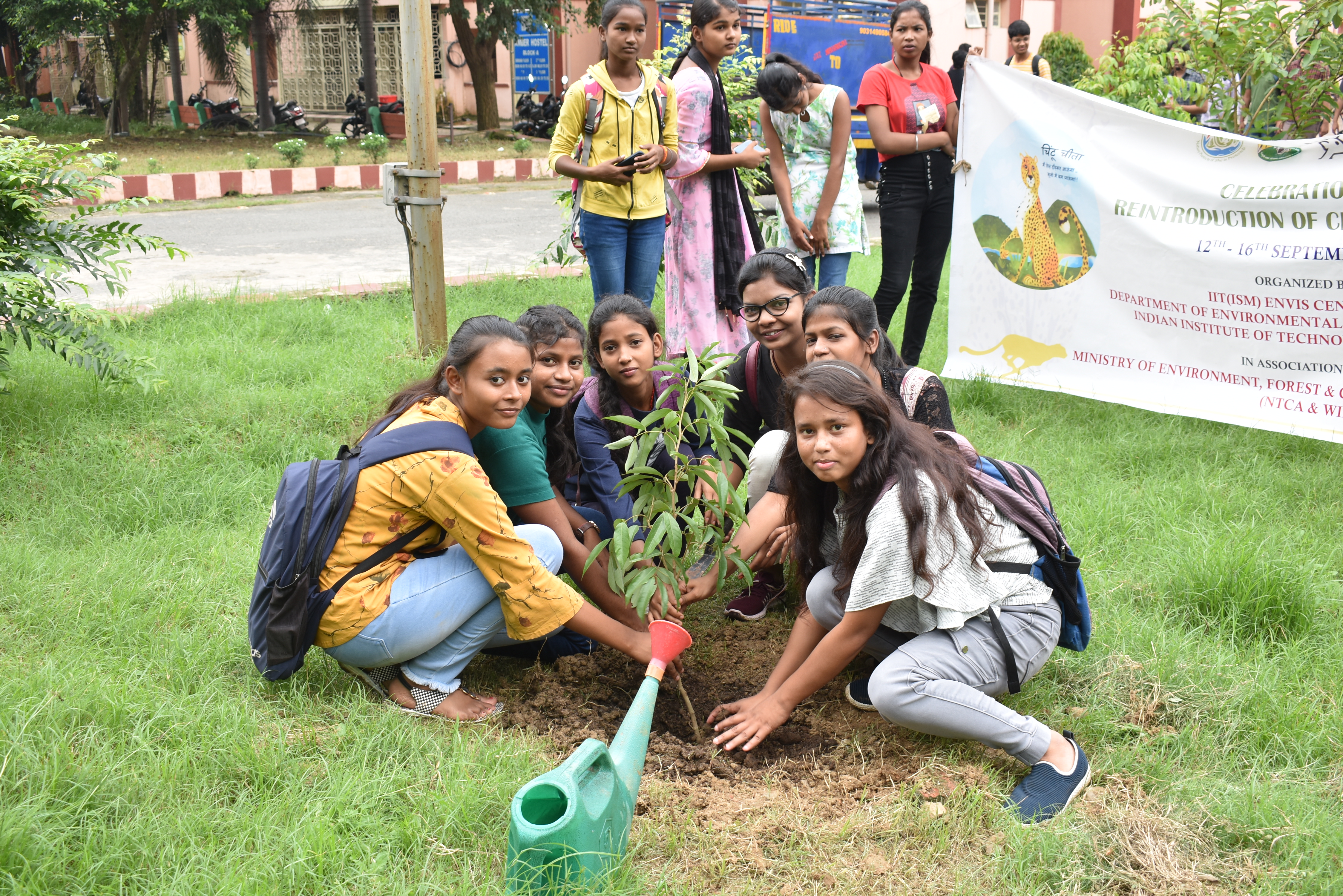 Plantation Programme - IMG012